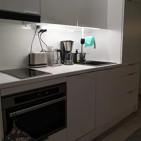 Nordic Apartment Rovaniemi